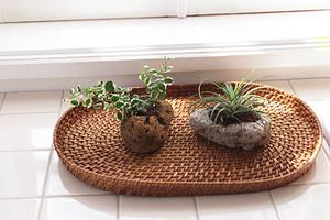 【埼玉県さいたま市のタカラスタンダード さいたまショールーム】快適な住空間を実現する最新設備と専門スタッフによるサポート