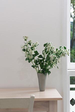 愛知県名古屋駅前ショールーム｜タカラスタンダードの便利な展示スペースと最新設備を紹介